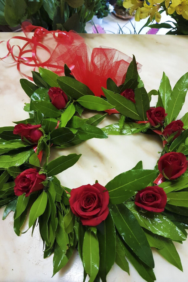 Coroncia laurea