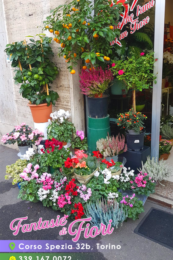 Fantasie di fiori Torino