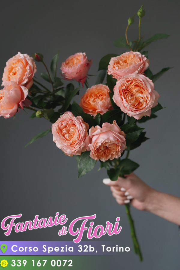 Fantasie di fiori Torino